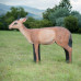 Wildcrete Duiker small